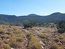 2022-11-29 :3: Chubb Mountain :: DixieFlyer