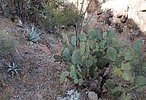 photo thumbnail #5