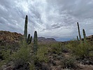 photo thumbnail #3