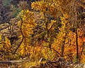 photo thumbnail #5
