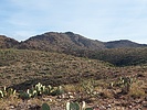 photo thumbnail #5