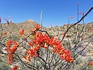 photo thumbnail #14