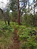 photo thumbnail #10