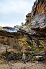 photo thumbnail #14