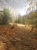 photo thumbnail #12