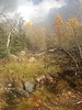 photo thumbnail #11