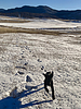photo thumbnail #3
