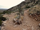 photo thumbnail #12