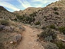 photo thumbnail #13