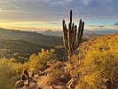 photo thumbnail #14