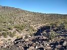 photo thumbnail #7