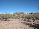 photo thumbnail #9