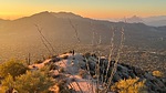 photo thumbnail #11