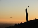 photo thumbnail #12