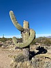 photo thumbnail #6