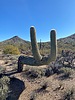 photo thumbnail #8