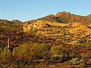 photo thumbnail #11