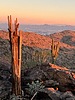 photo thumbnail #6