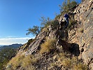 photo thumbnail #2