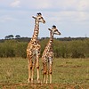 Featured Full Photo