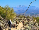 photo thumbnail #3