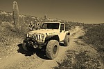 photo thumbnail #10