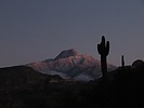 photo thumbnail #1