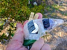 photo thumbnail #11