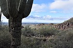 photo thumbnail #3