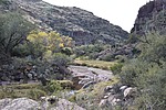 photo thumbnail #6