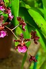 photo thumbnail #15