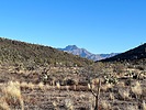 photo thumbnail #2