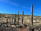 photo thumbnail #9