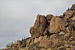 photo thumbnail #5