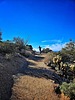 photo thumbnail #6
