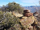 photo thumbnail #7
