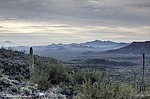 photo thumbnail #6