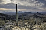 photo thumbnail #10