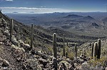 photo thumbnail #14