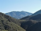 2022-12-19 :3: Cottonwood Trail 247-247A Loop :: LosDosSloFolks
