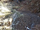 photo thumbnail #12