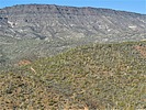 2022-12-19 :3: Cottonwood Trail 247-247A Loop :: LosDosSloFolks
