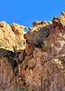 photo thumbnail #11