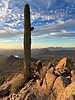 photo thumbnail #9