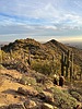 photo thumbnail #11