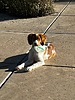photo thumbnail #4