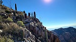 photo thumbnail #11
