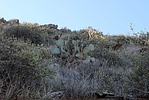photo thumbnail #5