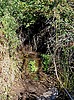 2022-12-24 :1: Holmes - LaBarge - Oak n Back :: joebartels