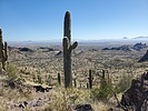 photo thumbnail #15